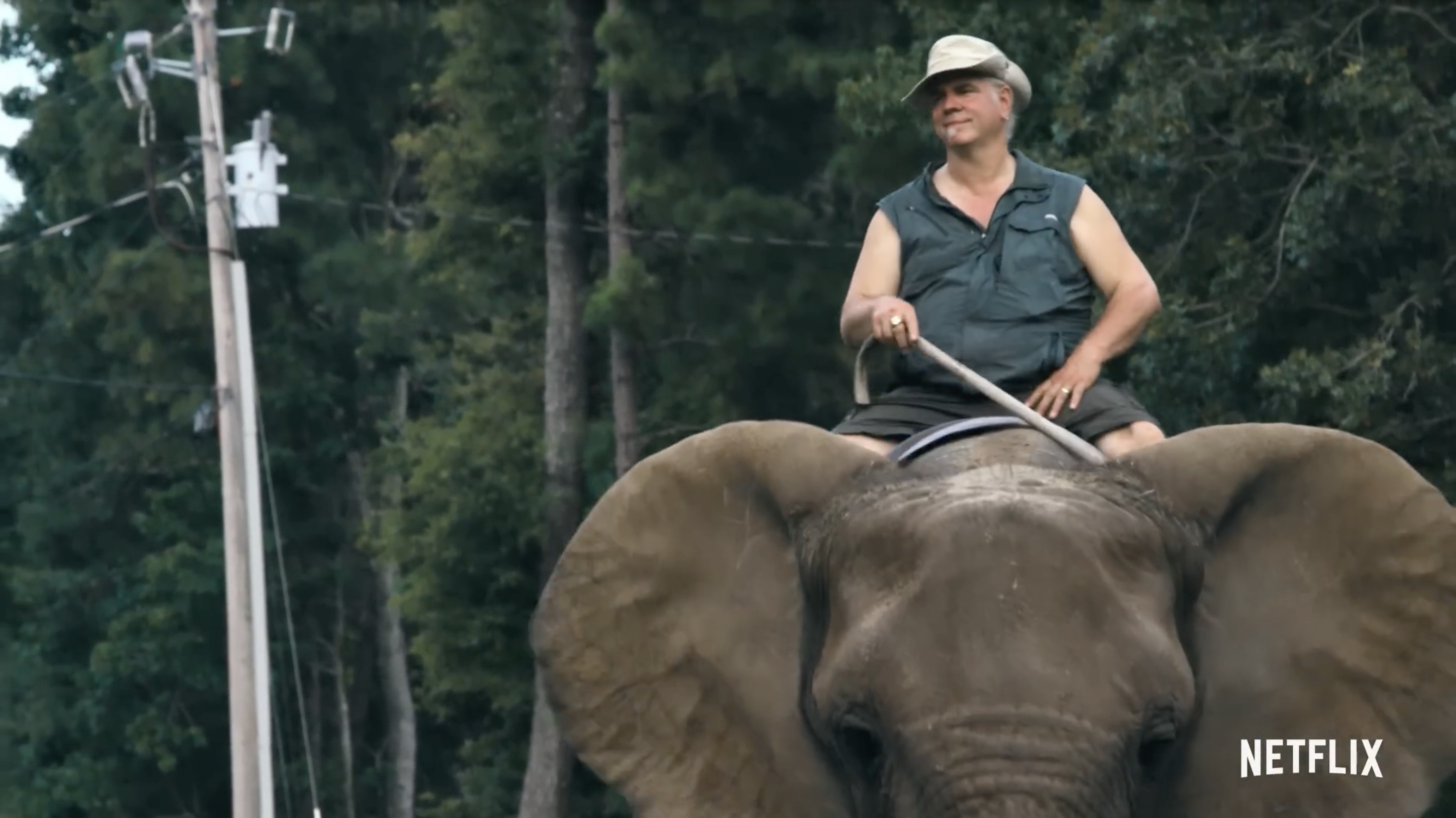 Tiger King: The Doc Antle Story